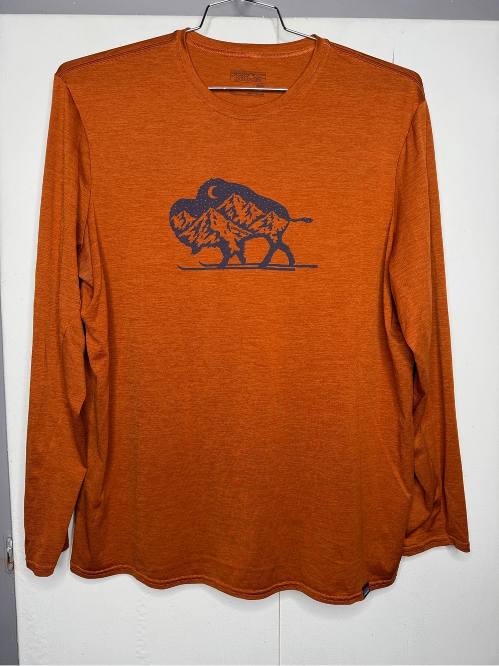 Patagonia Men's Capilene Daily Long-Sleeved Buffalo Mountain Graphic T-Shirt XL